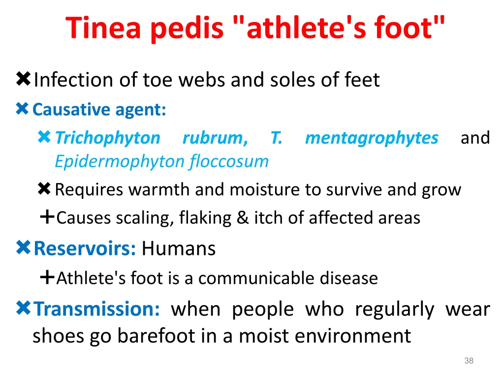 tinea pedis athlete s foot