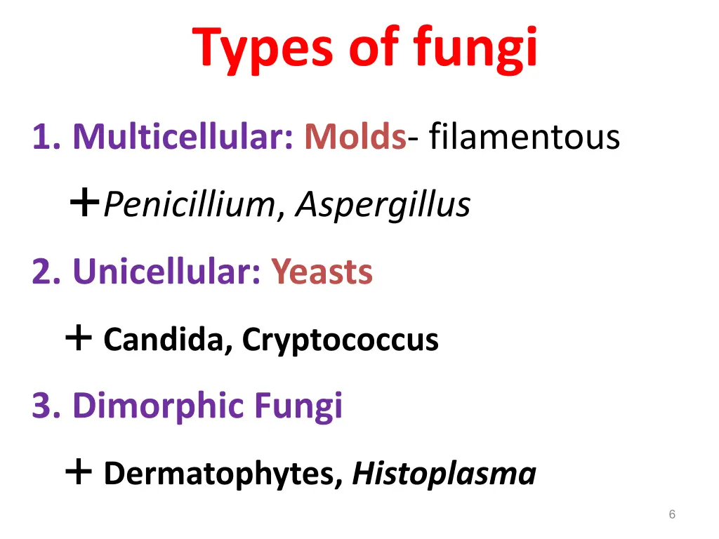 types of fungi