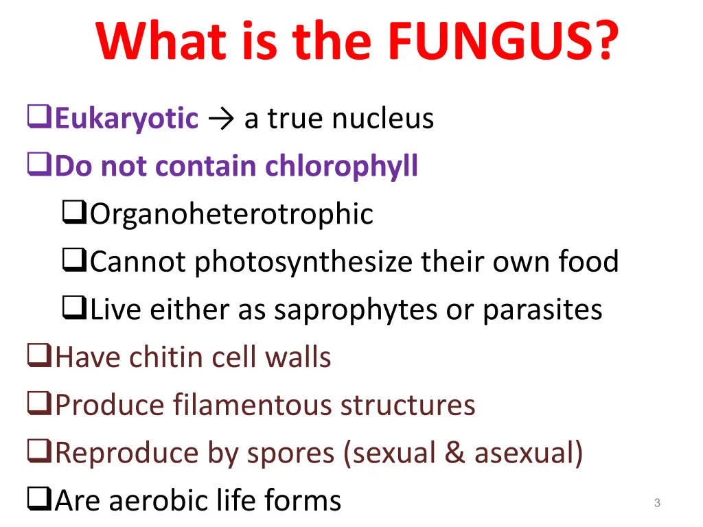 what is the fungus