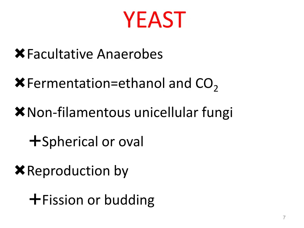 yeast