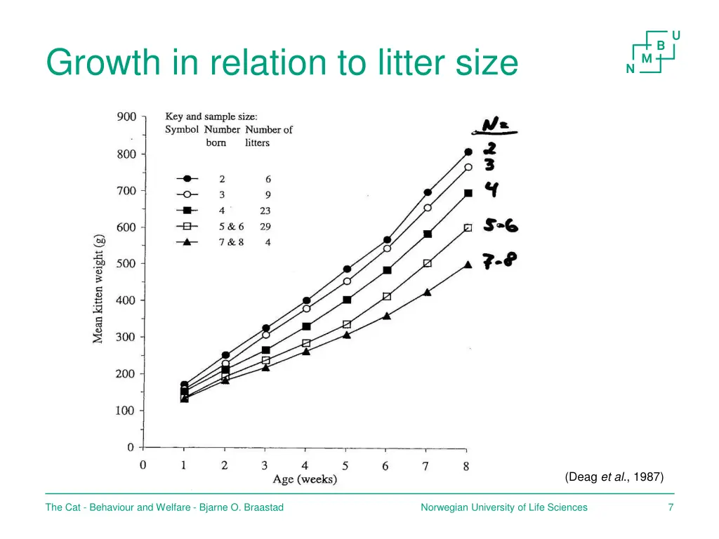 growth in relation to litter size