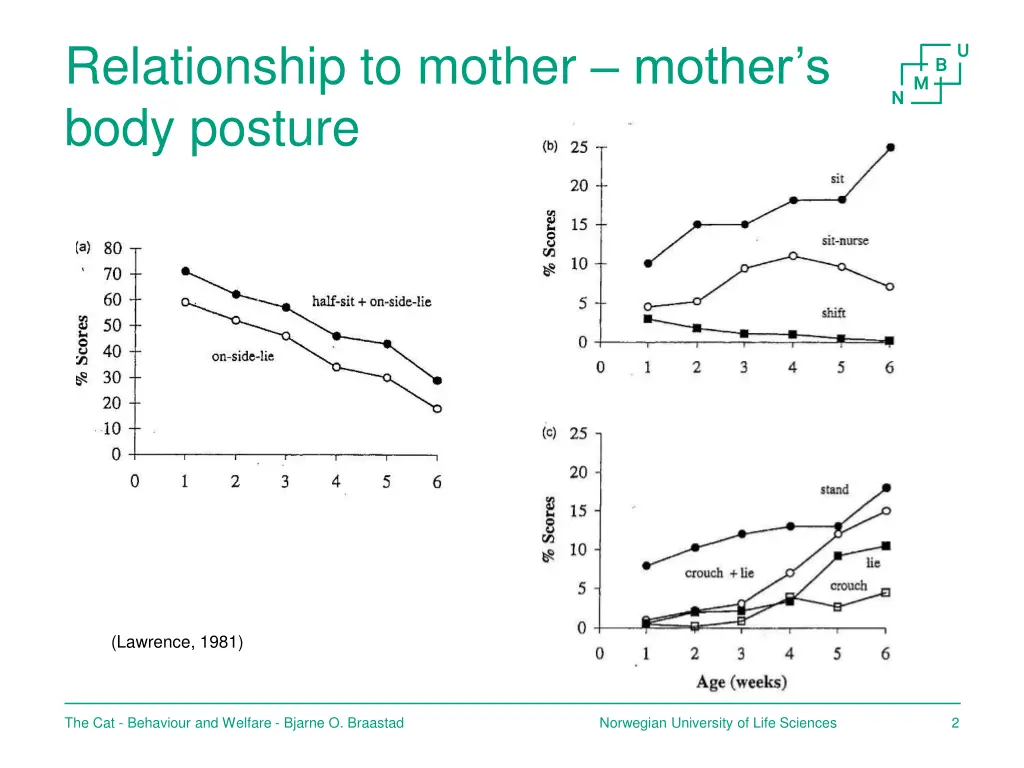 relationship to mother mother s body posture