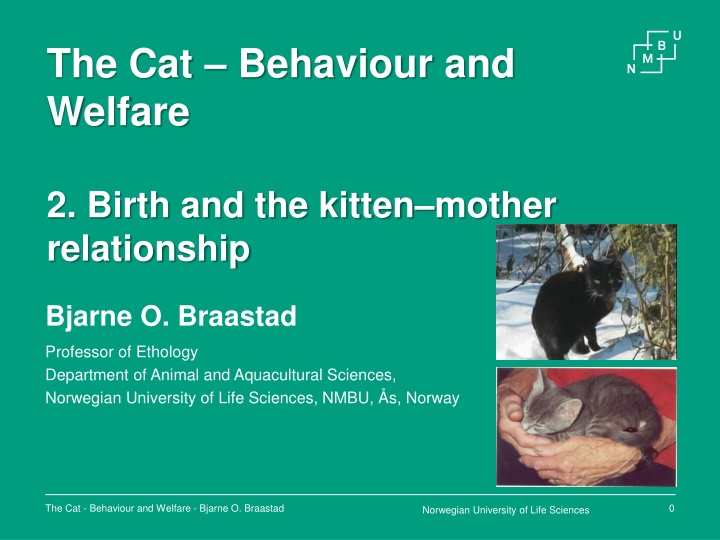 the cat behaviour and welfare