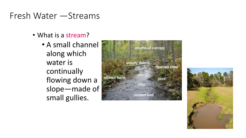 fresh water streams