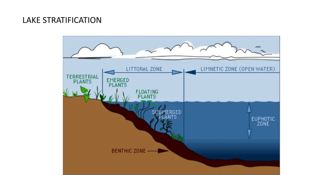 lake stratification