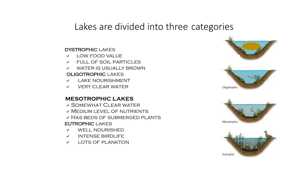 lakes are divided into three categories