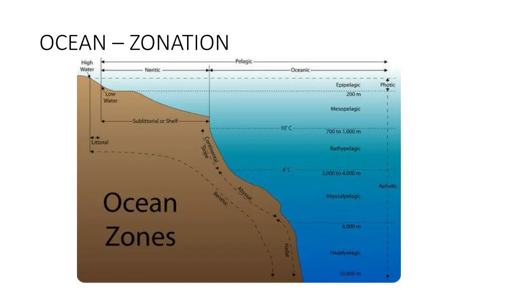 ocean zonation