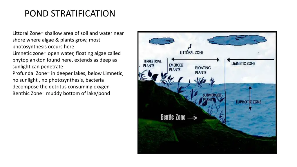 pond stratification