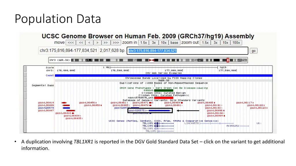 population data 1