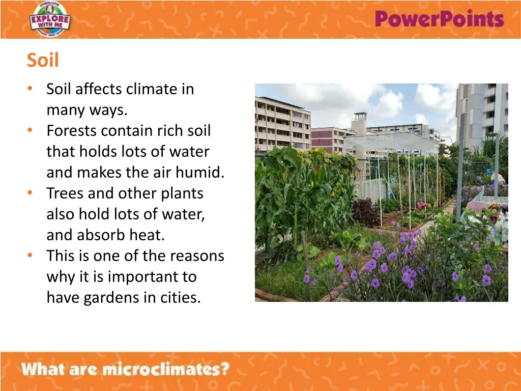 soil soil affects climate in many ways forests