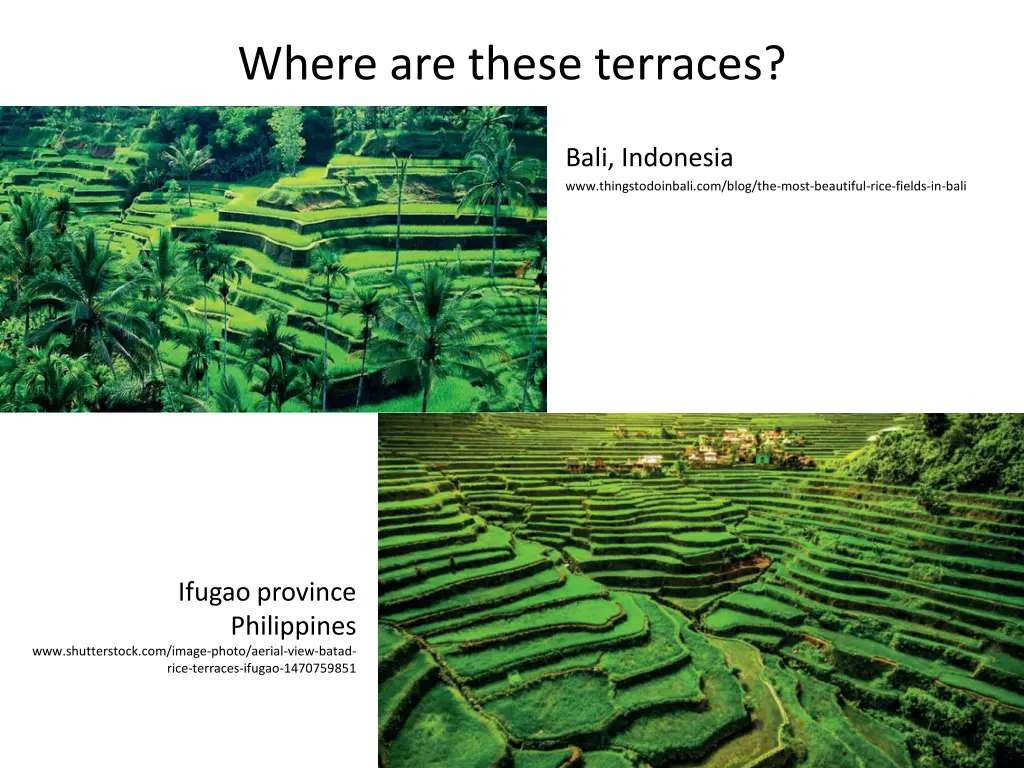 where are these terraces 1