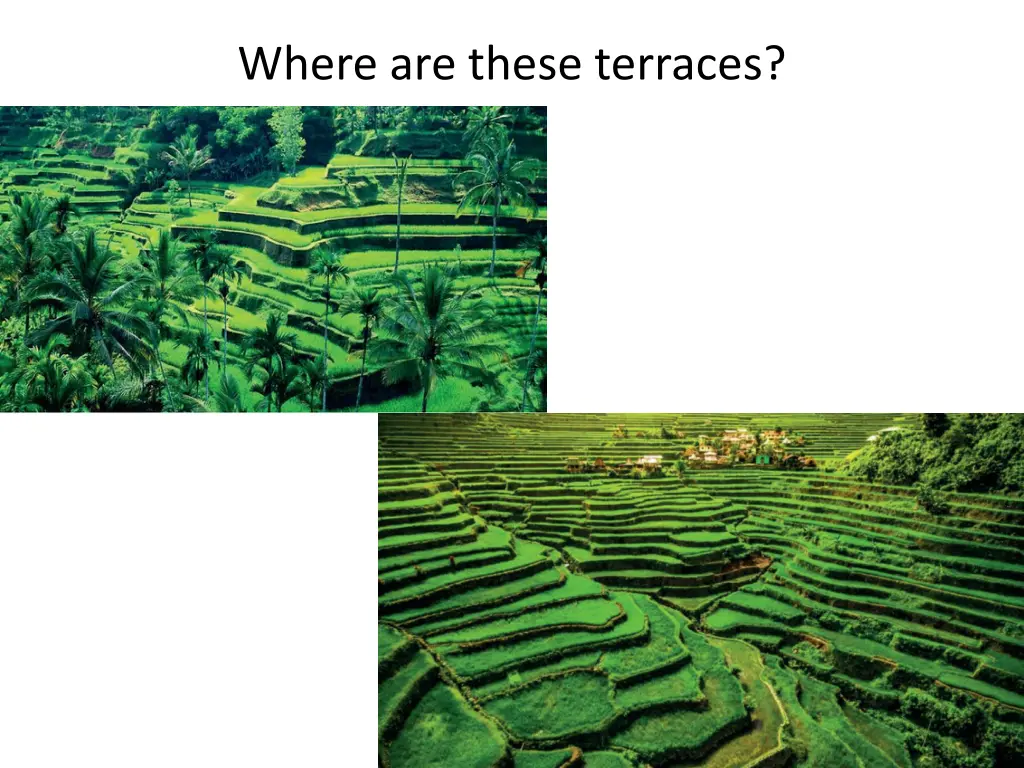 where are these terraces