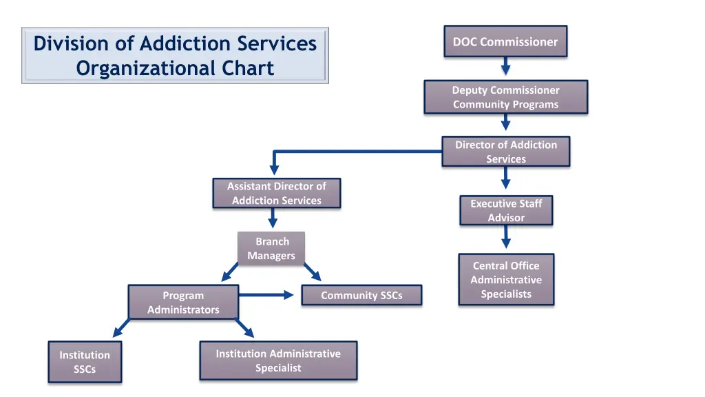 division of addiction services organizational