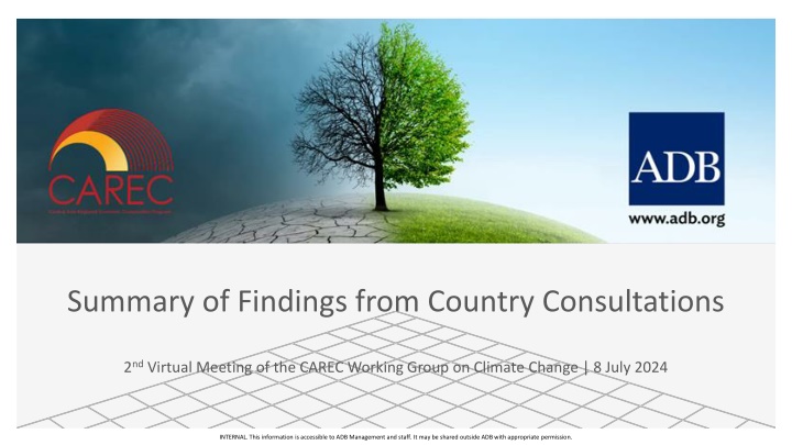 summary of findings from country consultations