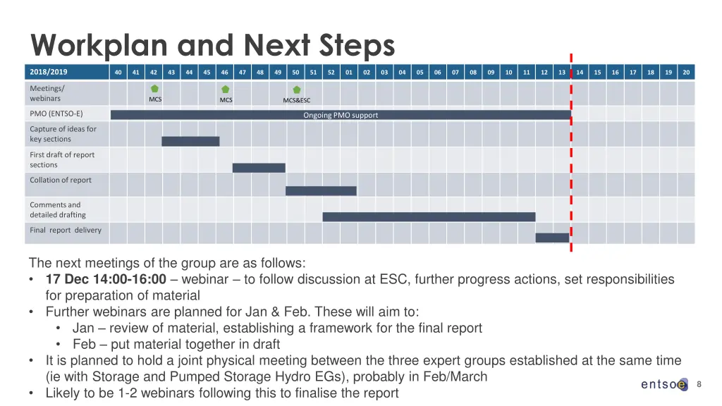 workplan and next steps