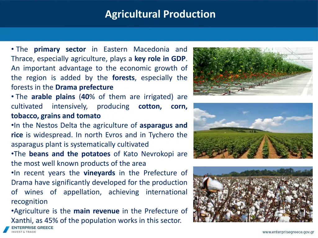 agricultural production