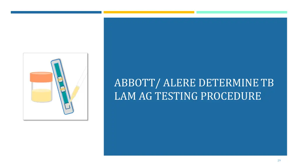 abbott alere determinetb lam ag testing procedure