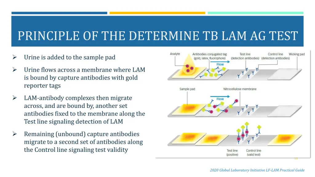 principle of the determine tb lam ag test