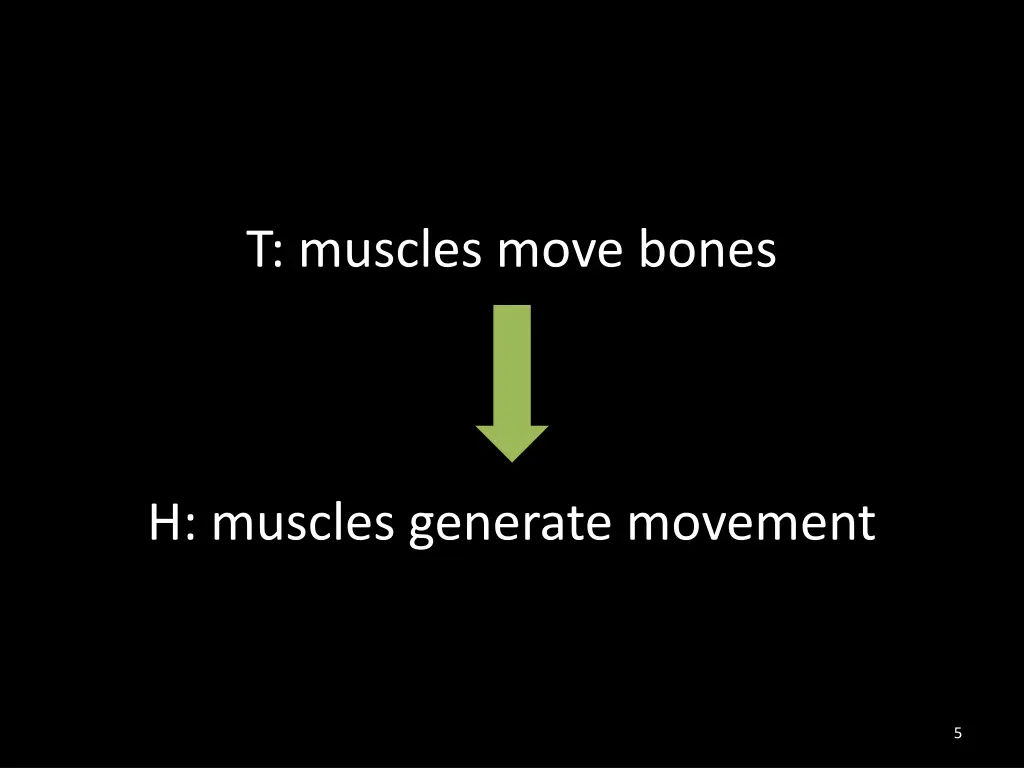 t muscles move bones 2