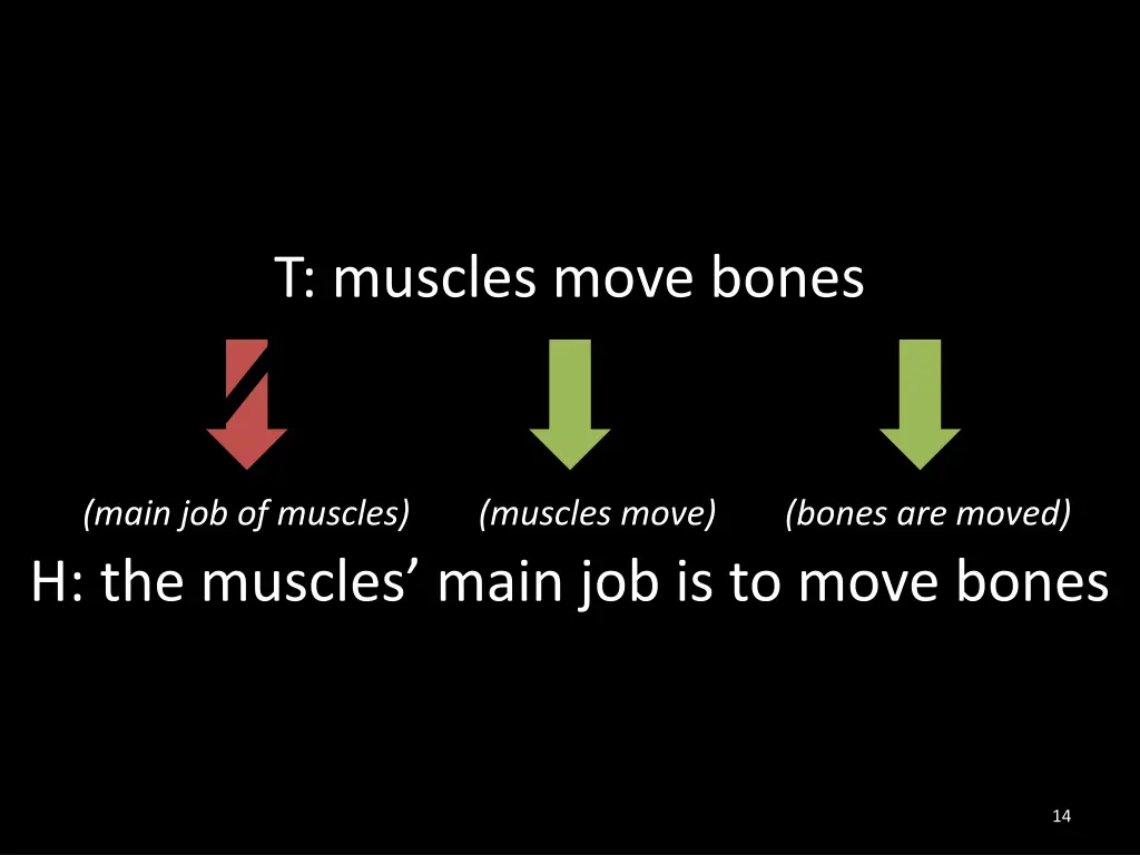 t muscles move bones 7