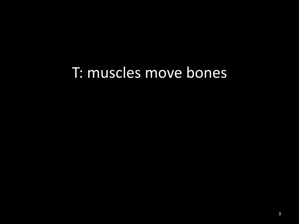 t muscles move bones