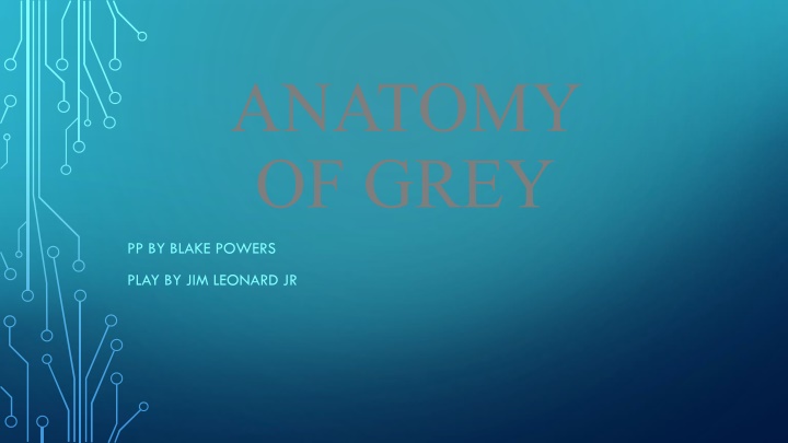 anatomy of grey