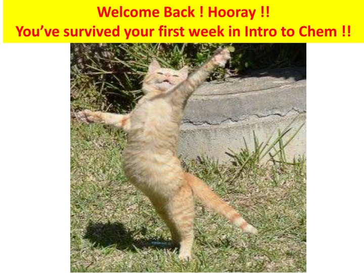 welcome back hooray you ve survived your first