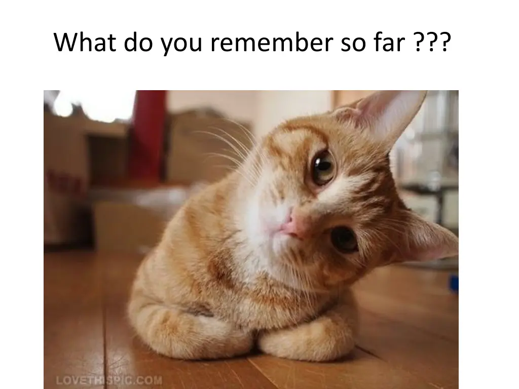 what do you remember so far