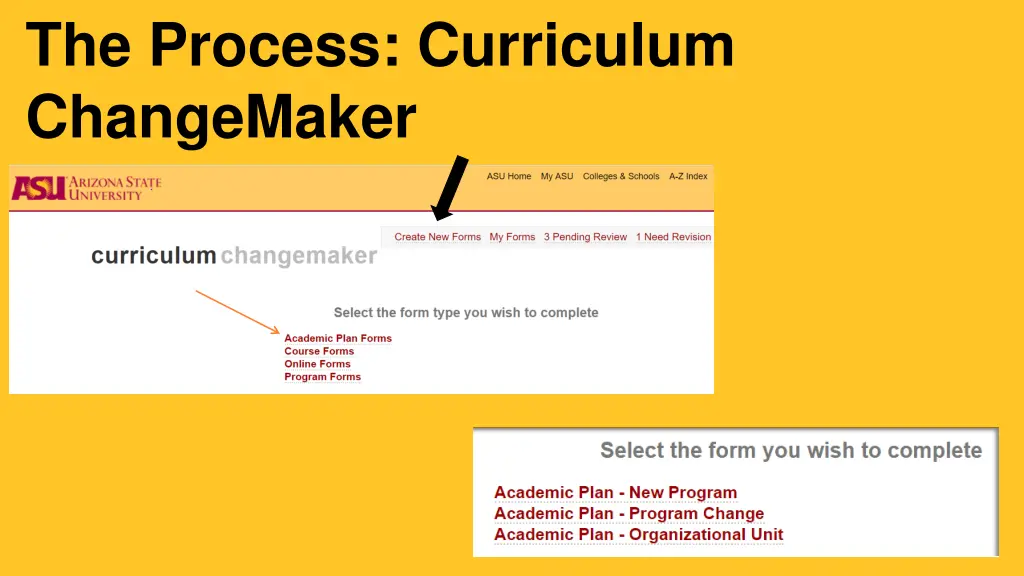 the process curriculum changemaker