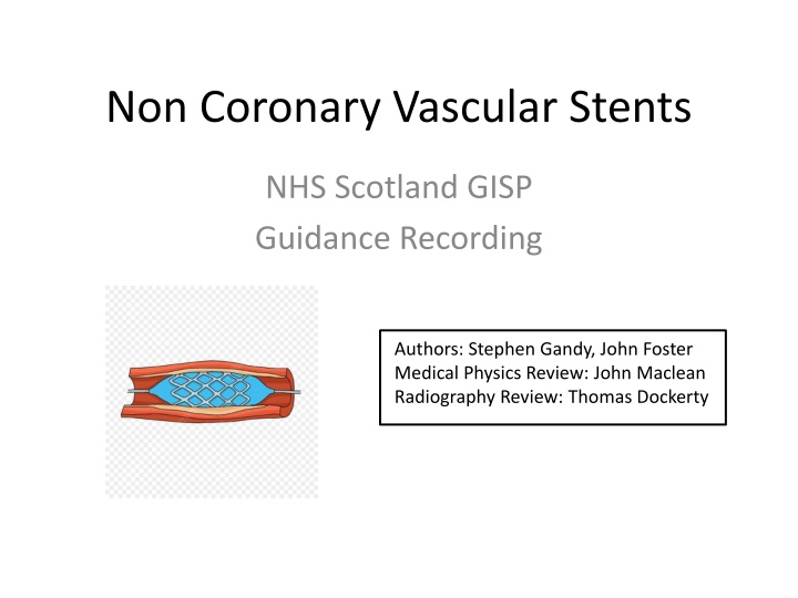 non coronary vascular stents