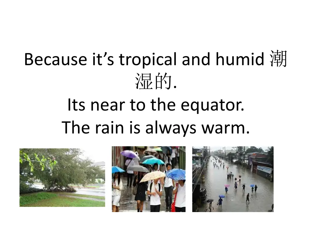 because it s tropical and humid its near