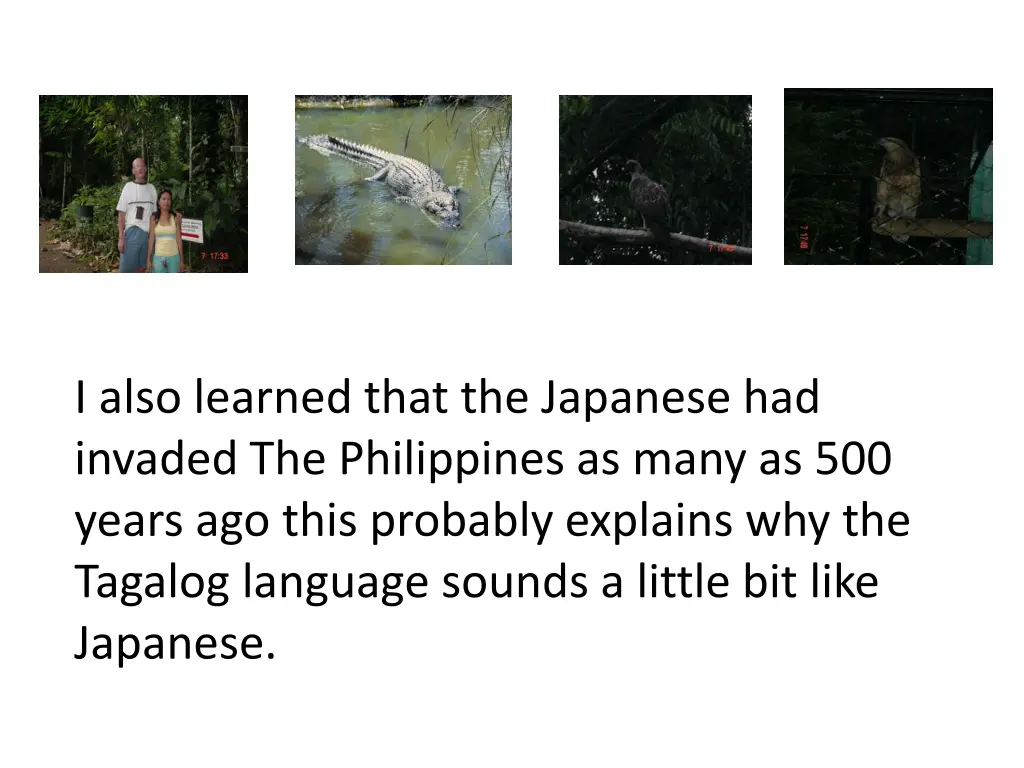 i also learned that the japanese had invaded