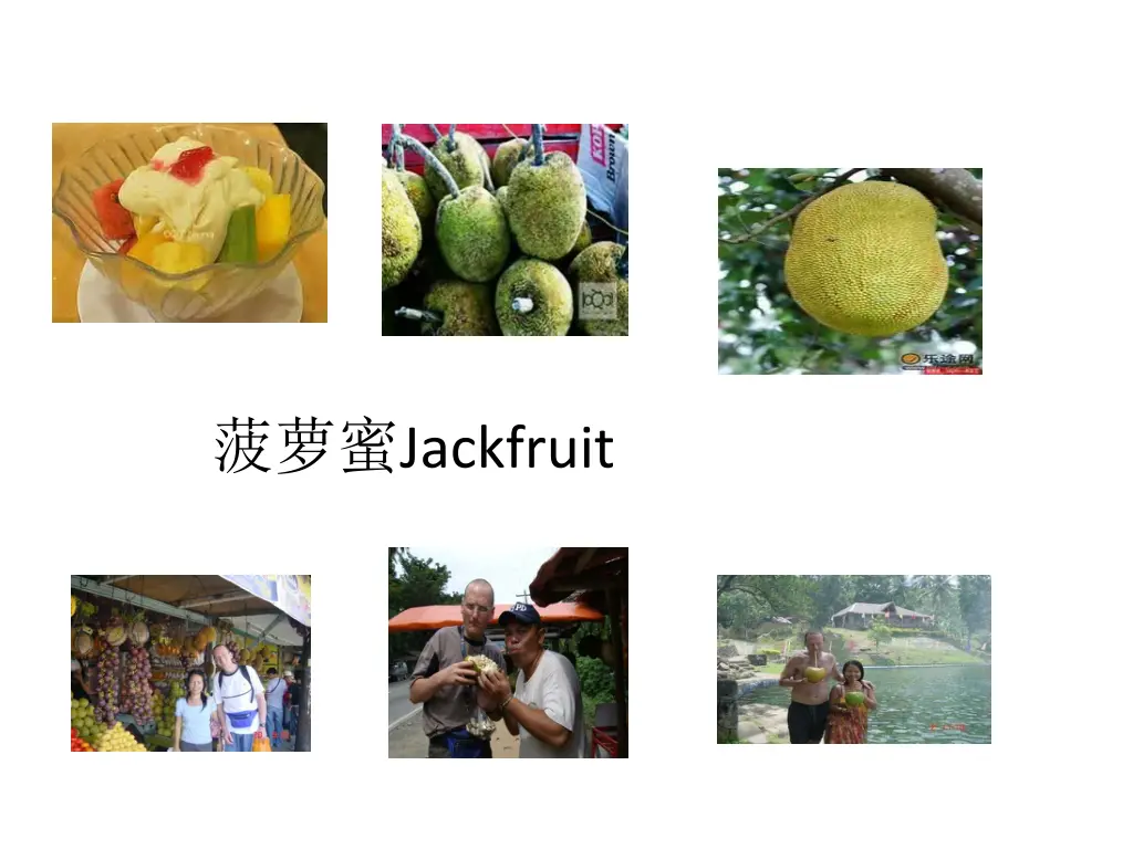 jackfruit