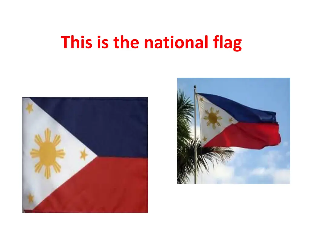 this is the national flag