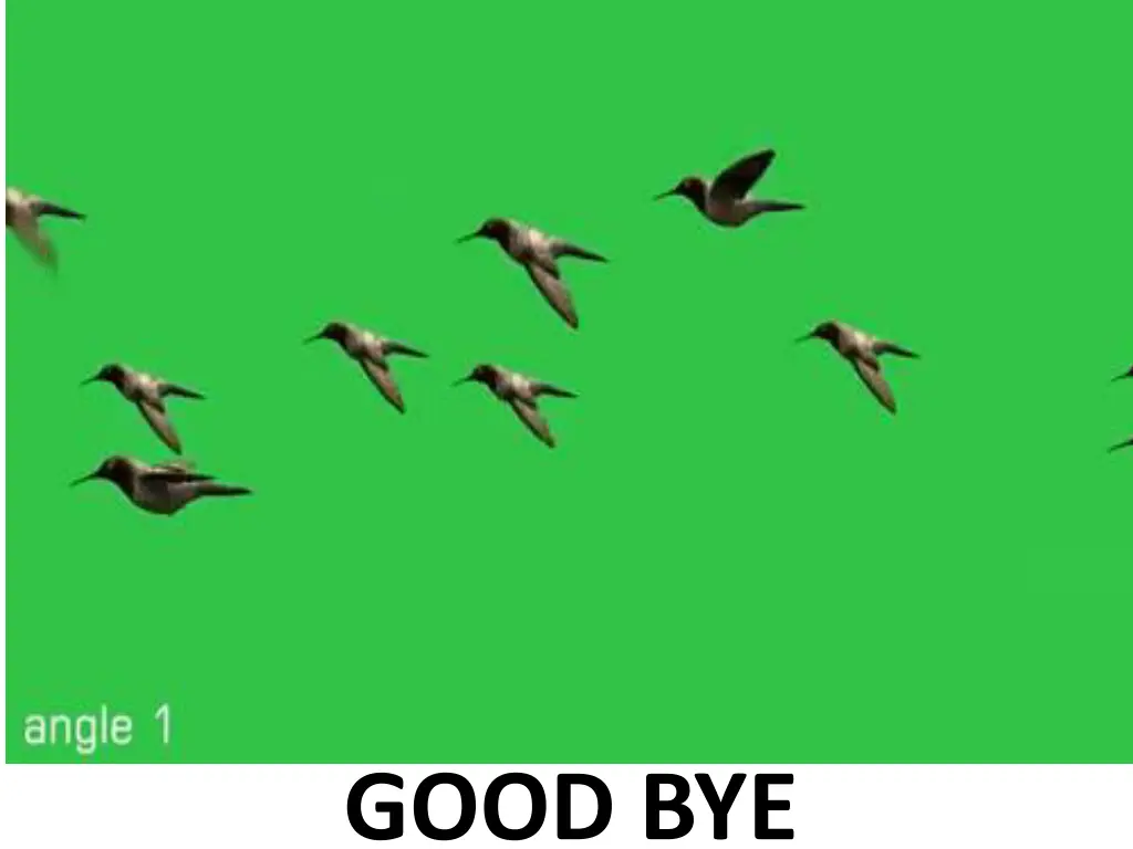 good bye