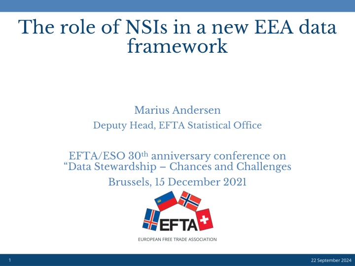 the role of nsis in a new eea data framework