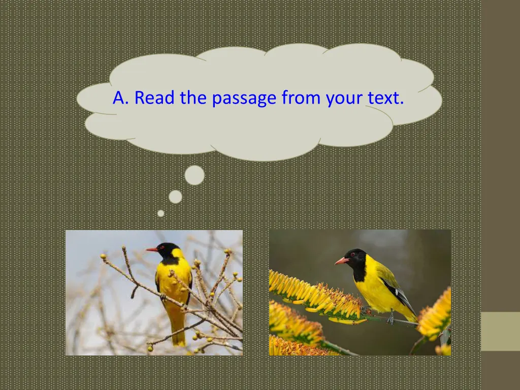 a read the passage from your text