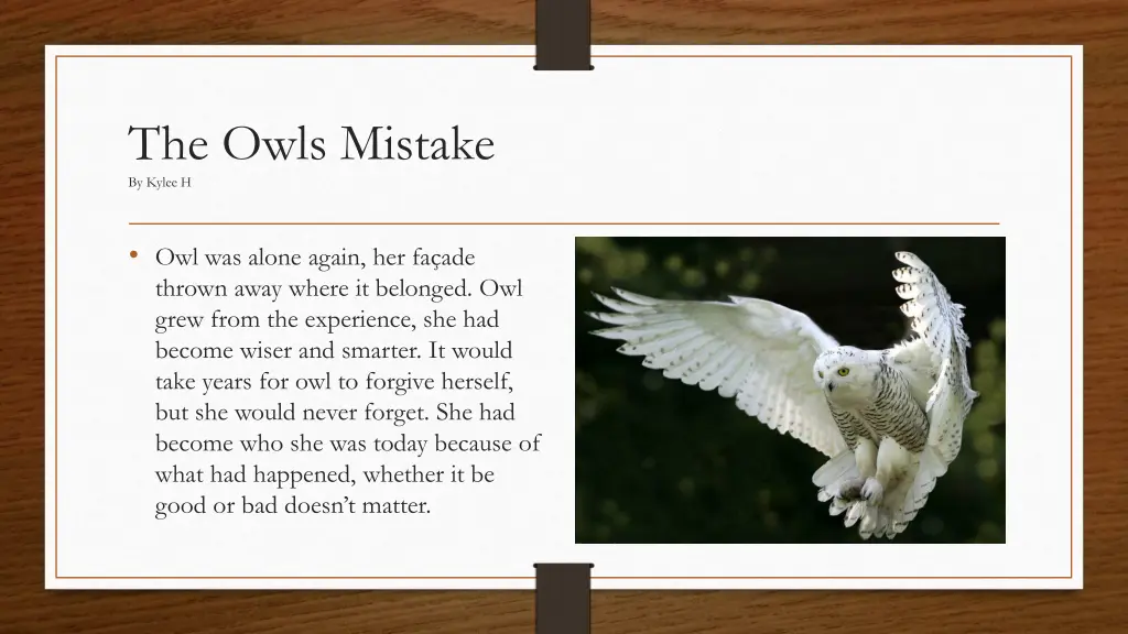 the owls mistake by kylee h 6