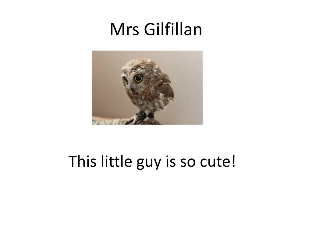 mrs gilfillan