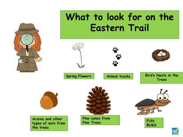 what to look for on the eastern trail