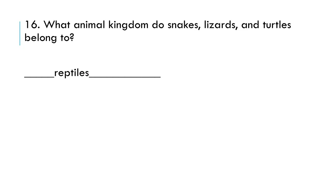 16 what animal kingdom do snakes lizards