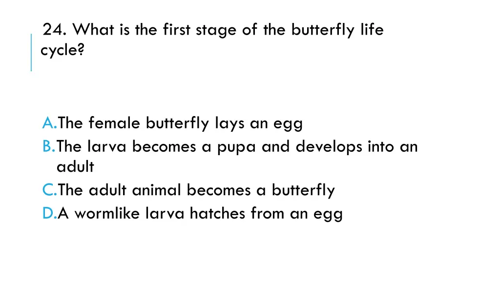 24 what is the first stage of the butterfly life