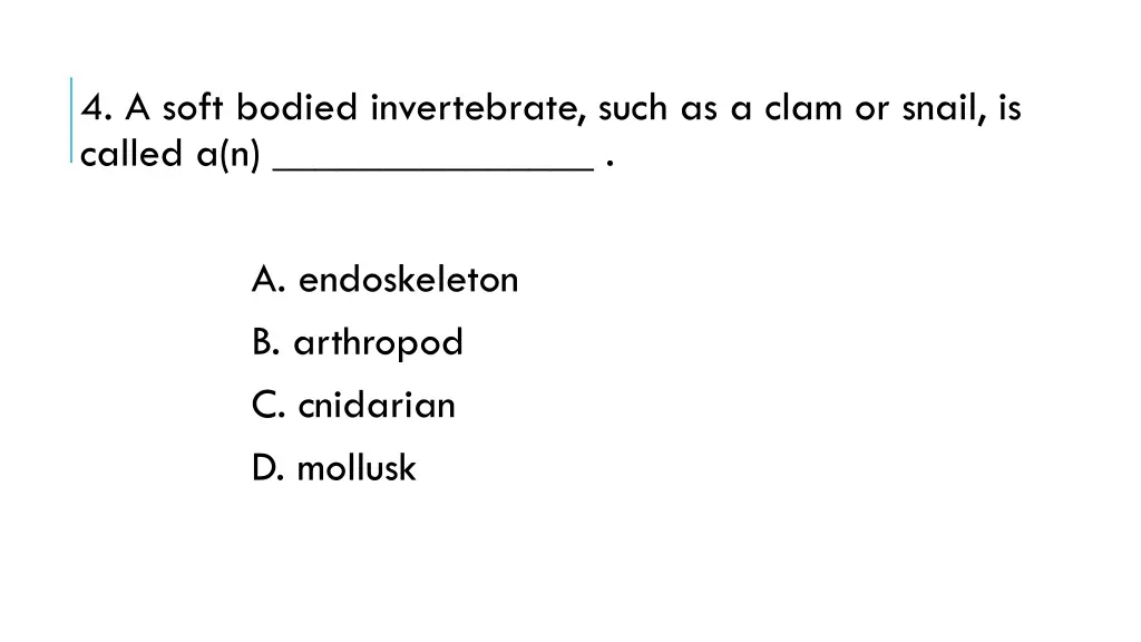 4 a soft bodied invertebrate such as a clam