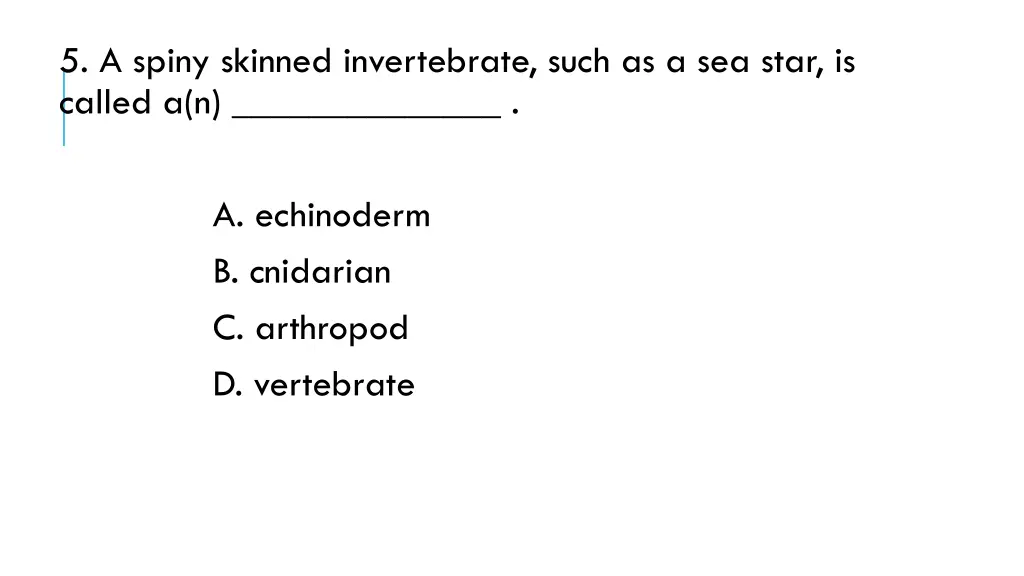 5 a spiny skinned invertebrate such as a sea star