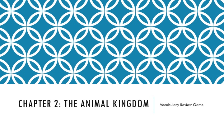 chapter 2 the animal kingdom