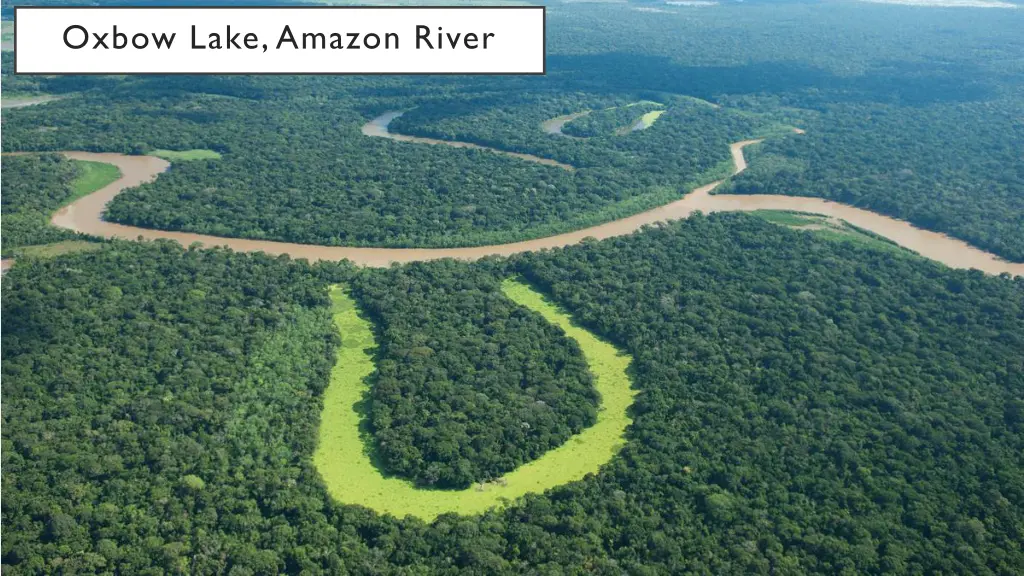 oxbow lake amazon river