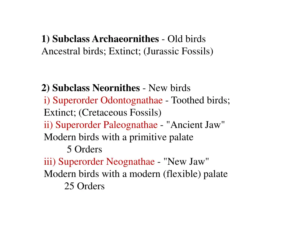 1 subclass archaeornithes old birds ancestral