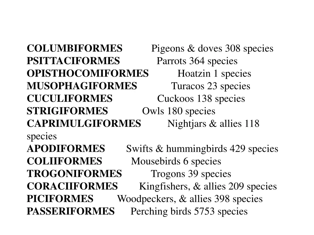 columbiformes pigeons doves 308 species