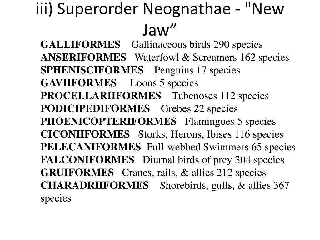 iii superorder neognathae new jaw galliformes