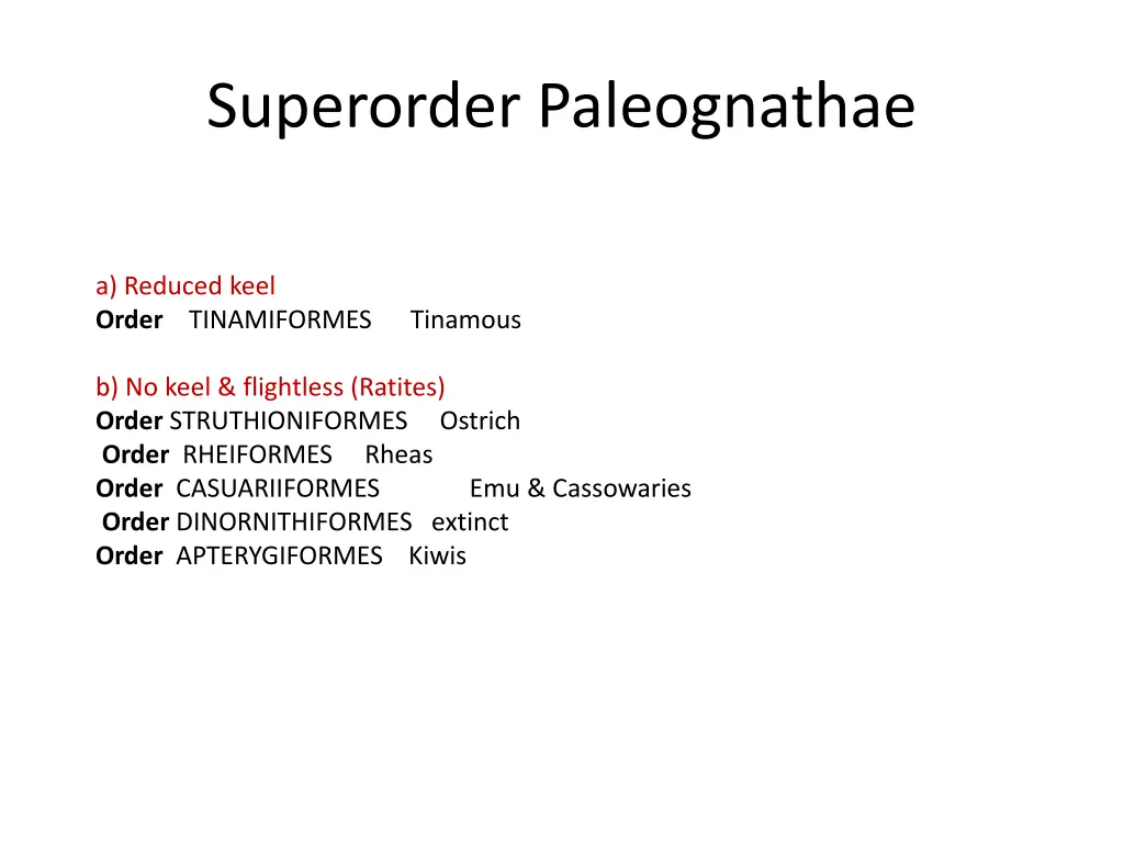 superorder paleognathae